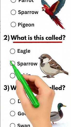 Bird Quiz 🦜🐦🦆 | Guess the Bird Name | Easy Animal Quiz 🧠🔥
