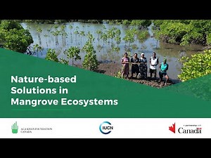 Nature-Based Solutions in Mangrove Ecosystems