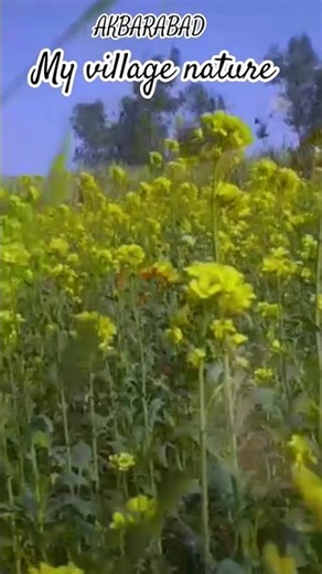 NATURE DEKHO MY GAON KA #MALIK