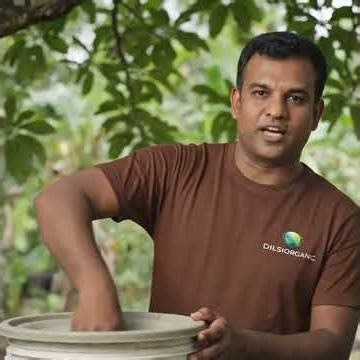 සතයක්වත් වියදම් නොකර ගෙදරදීම ජීව පොහොර හදමු! | Bio Fertilizer Sinhala 🌱