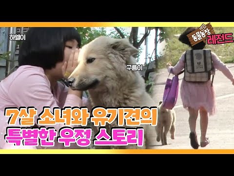 [TV 동물농장 레전드/SUB] ‘7살 소녀와 떠돌이 견의 우정’ 풀버전 다시보기 #TV동물농장 #AnimalFarm #SBSstory