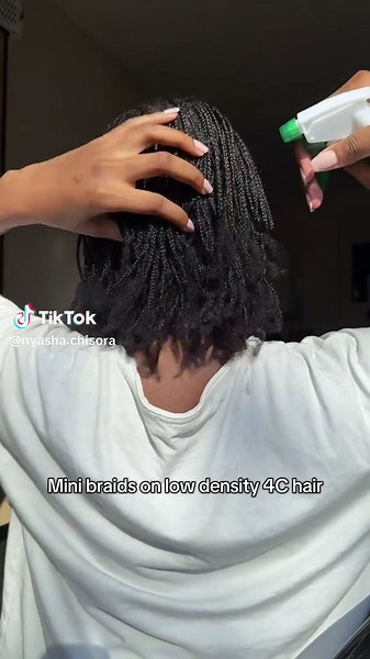 Mini Braids on Low Density 4C Natural Hair Guide
