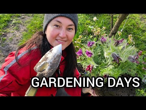 COUNTRY LIFE: Planting Flowers/ Strawberry and Raspberry Garden Work