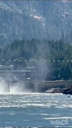 UNTITLED (((BASS SHADE)))