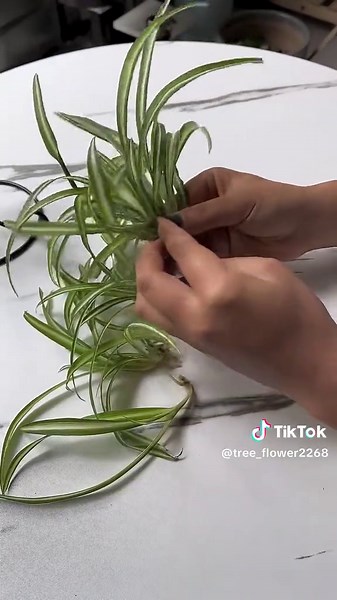 Easy 🌿 #tree #treework #garden #gardening #decor #decorations #idea #design #tiktok #fyp #foryou #viral #learnontiktok