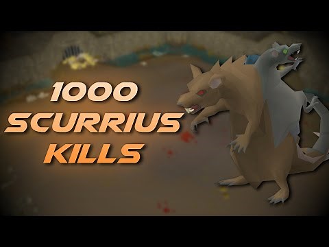 Loot From 1,000 Scurrius