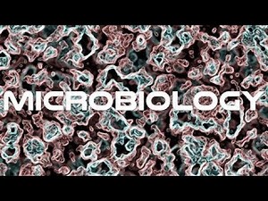Microbiology Basics Course - The Best Documentary Ever