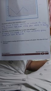 Why farmers cultivate wheat crop in Rabi season?why beacuse it... | Filo