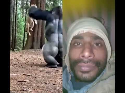 ATTACK FAILS.... protector Takes charge