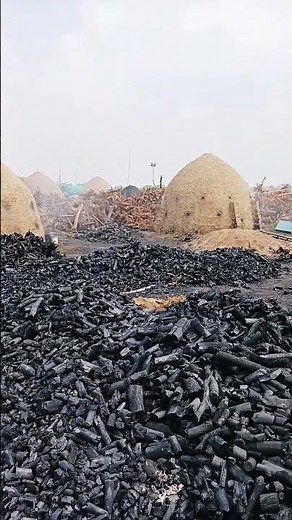 Biochar Production Traditional India #biochar