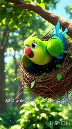 #quotes #poetry #lifeisbutadream story parrot #shortvideo #100kvews #shortsfeed #viral #