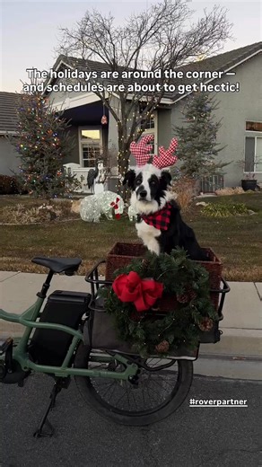 Holiday hustle starting to get hectic and you forgot to schedule your pet care services? Let Rover.com swing by for drop-in visits to help! Use code LADUC25 for $25 off your first Rover service!! | Laducb | Facebook