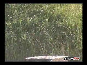 SinterFire's Awesome Shots - 50 BMG