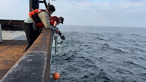 The ocean is a noisy place for sea life. What 2 years of listening tells us about offshore wind.