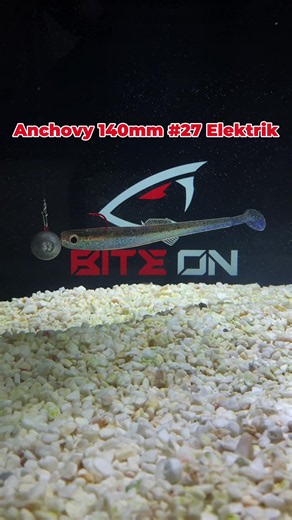 Effective Fishing Techniques with Anchovy Baits