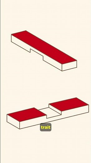 Achieve a perfect half-lap joint every time!