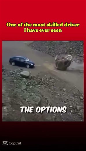 he is smart actually #funny #car #crazy