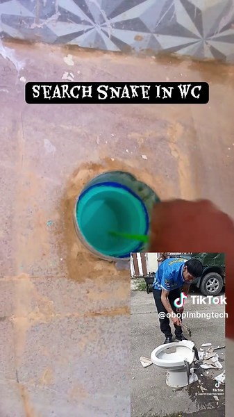 How to Prevent Snakes in Your Bathroom: Plumbing Tips