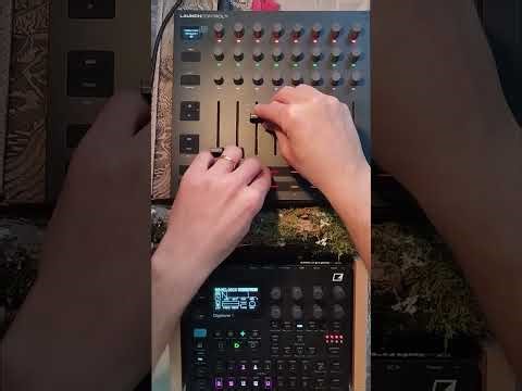 Digitone 2 + Launchcontrol XL TECHNO first attempt after a week