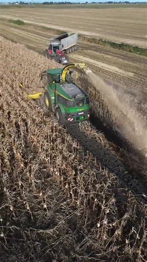 Tractor fails on Instagram: "Funday corn chopping.. 🚜🌽😅 By @braciagajkowscy #johndeere #masseyferguson #fliegl #corn #maize #harvest #tractor #fail #tractorfails #farmlife #agriculture"