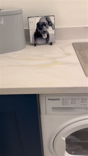 Teagan Collins | Shall I do the kitchen too? | Instagram