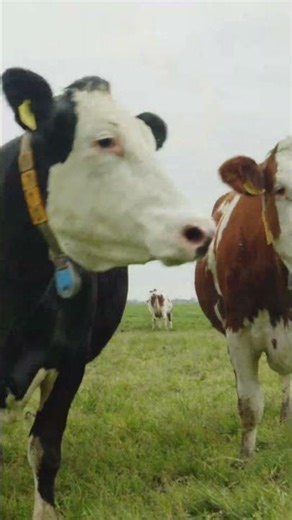 Why Spring Changes Your Body Clock