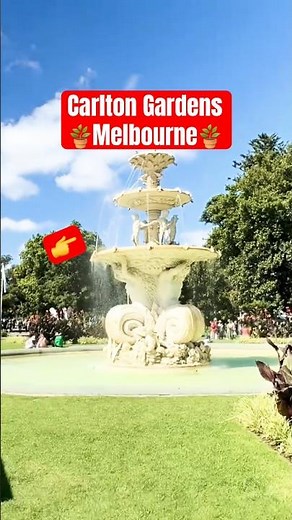 This Melbourne spot is absolutely jaw-dropping! 🌞 #carlton #melbourne #australia #travel