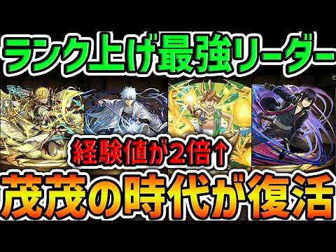 [Grinding Mania] Shige Shige becomes the strongest leader with double rank experience! This perfo...