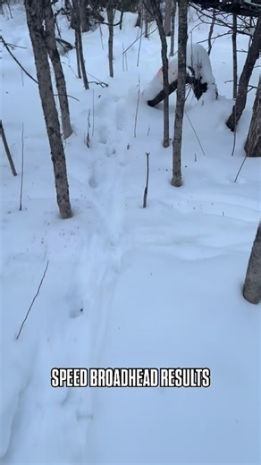 @speedbroadheads on Instagram: "The results speak for themselves. #speedbroadheads"