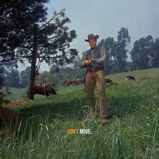 67K views · 1.6K reactions | Remembering John Smith, who passed away on this day in 1995. Best known for his role as Slim Sherman on #Laramie Watch Laramie Weekdays at 2p and Weekends at 10a ET on FETV! | FETV | Facebook