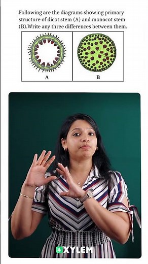 Just A Minute - Anatomy Of Flowering Plants