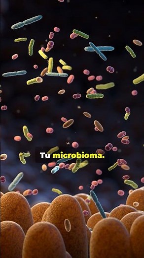 EDULCORANTES: ¿Veneno o aliados? La verdad científica 🧪🍭