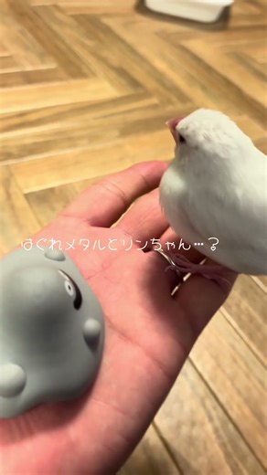 リンちゃんとはぐれメタル…？