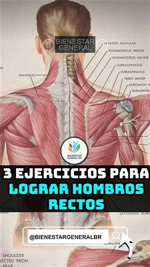 🔥💪 Hombros firmes y postura activa 🧍‍♀️✨