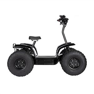 [Hot Item] (QT-E01) 4X4 off Road Go Kart ATV Cross Kart Hub Motor 4 Wheel Scooter