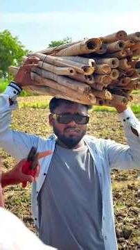 Forest mein banaya apna Wooden House 🌲 | Solo Survival Log Cabin Build).