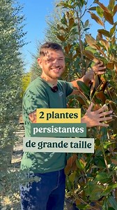 84K views · 487 reactions |  BLACK FRIDAY -25% sur tout le site...