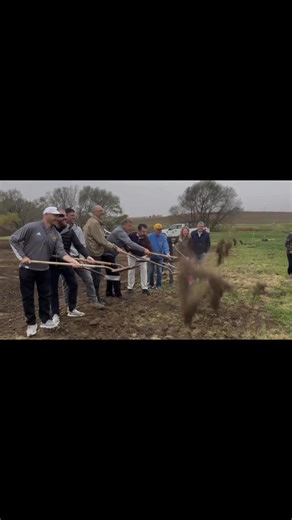 First Security Bank Byron on Reels