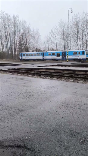 High-Speed Train Rushes By | Pure Train Sound Experience