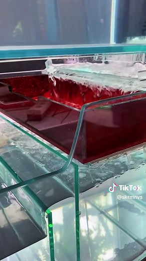 Stylish 60.30.30 Aquarium Setup with 6mm Flat Glass