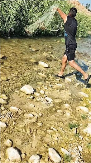 Fish Love These Shallow Spots! 🐟🌊 | Where to Find More Fish Fast!🎯