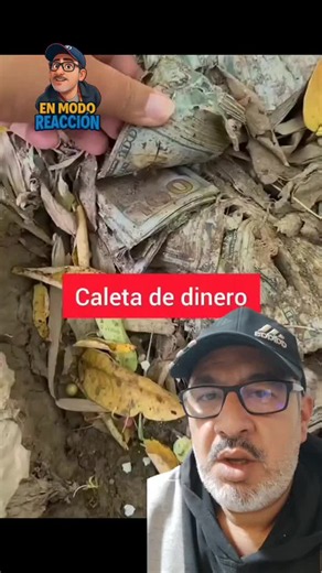 Video de el kamaleón Orellana 3 (@eudys.orlando.ore) relacionado con “La Guaira”