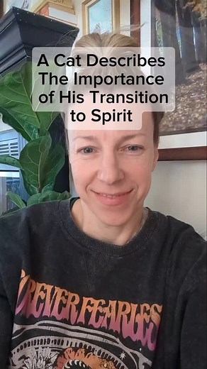 A cat describes the importance of his transition, a special moment between him & his Mom & details about their life together. #animalmedium #ilovecats🐱 #catsarepawsome | Jessica Gaines