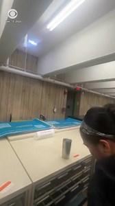 2.5M views · 50K reactions | Students huddled together in a Brown...