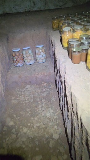 Checking on the basement/ #rootcellar #cold #wv | Eli Miller