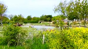 18th May 2020 Lovely fishing area at the Whispering Waters Caravan Park. | Mablethorpe Photo Album