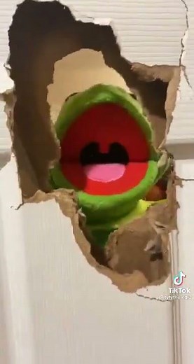 Elmo And Kermit Break The Door Open