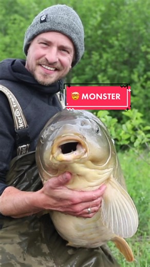 Monster Carp Fishing: Biggest Carp Ever Caught