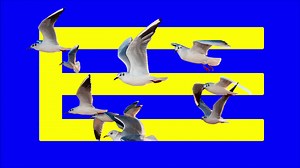 1.3K views | Heading to Billie Eilish and Overheated Live? The brand new OVERHEATED THE DOCUMENTARY will be showing at Cineworld during the Billie Eilish residency. On O2? Book tickets tomorrow at 10am https://priority.o2.co.uk/tickets General on sale Thursday midday https://bit.ly/OverheatedDocumentary | The O2 | Facebook