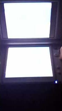 Pokemon HeartGold💛 SAVE FILE